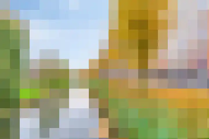 Freyjaplantsoen 3 Almere thumbnail 4