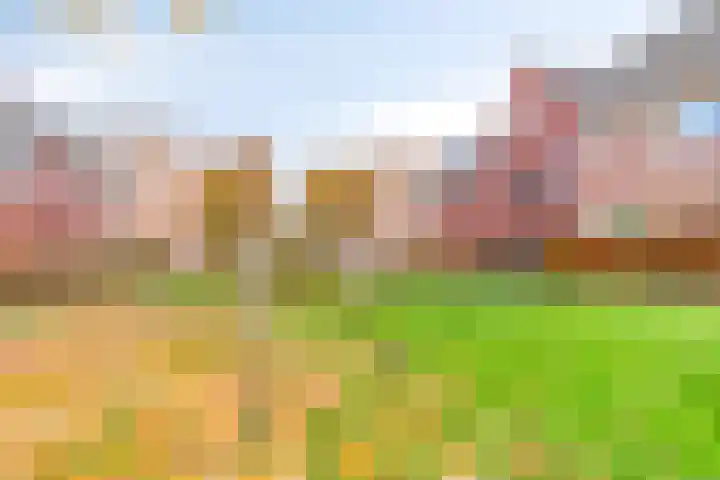 Freyjaplantsoen 3 Almere thumbnail 5