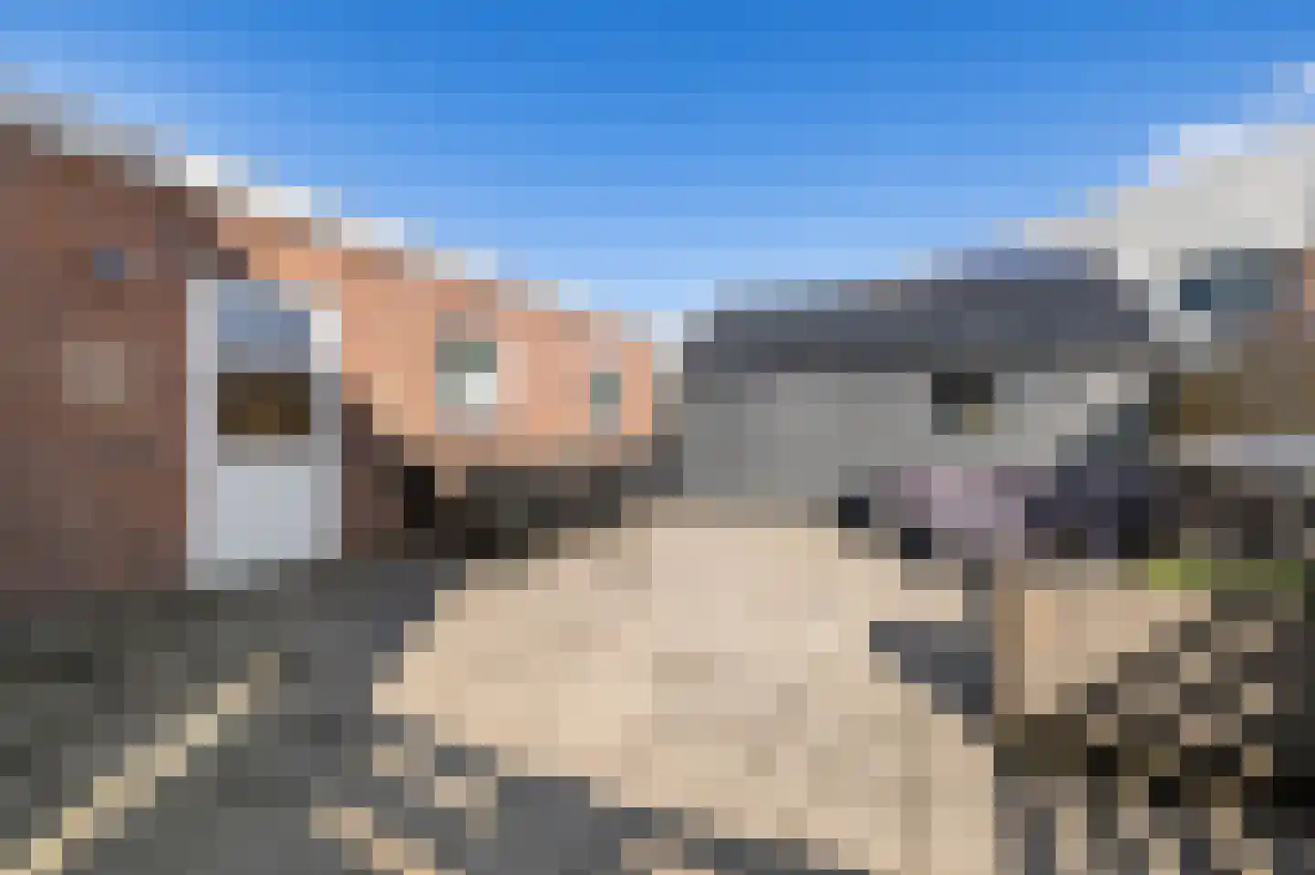 Fricoweg 7 Wergea thumbnail 34