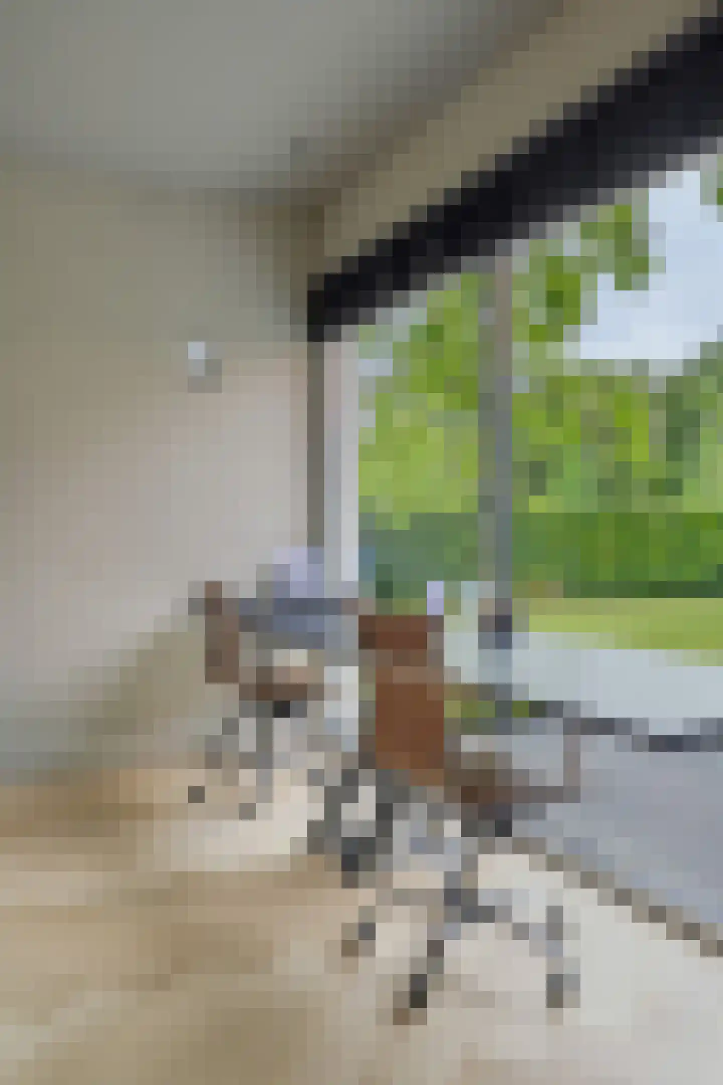 Frida Heilstraat 1 Arnhem thumbnail 25