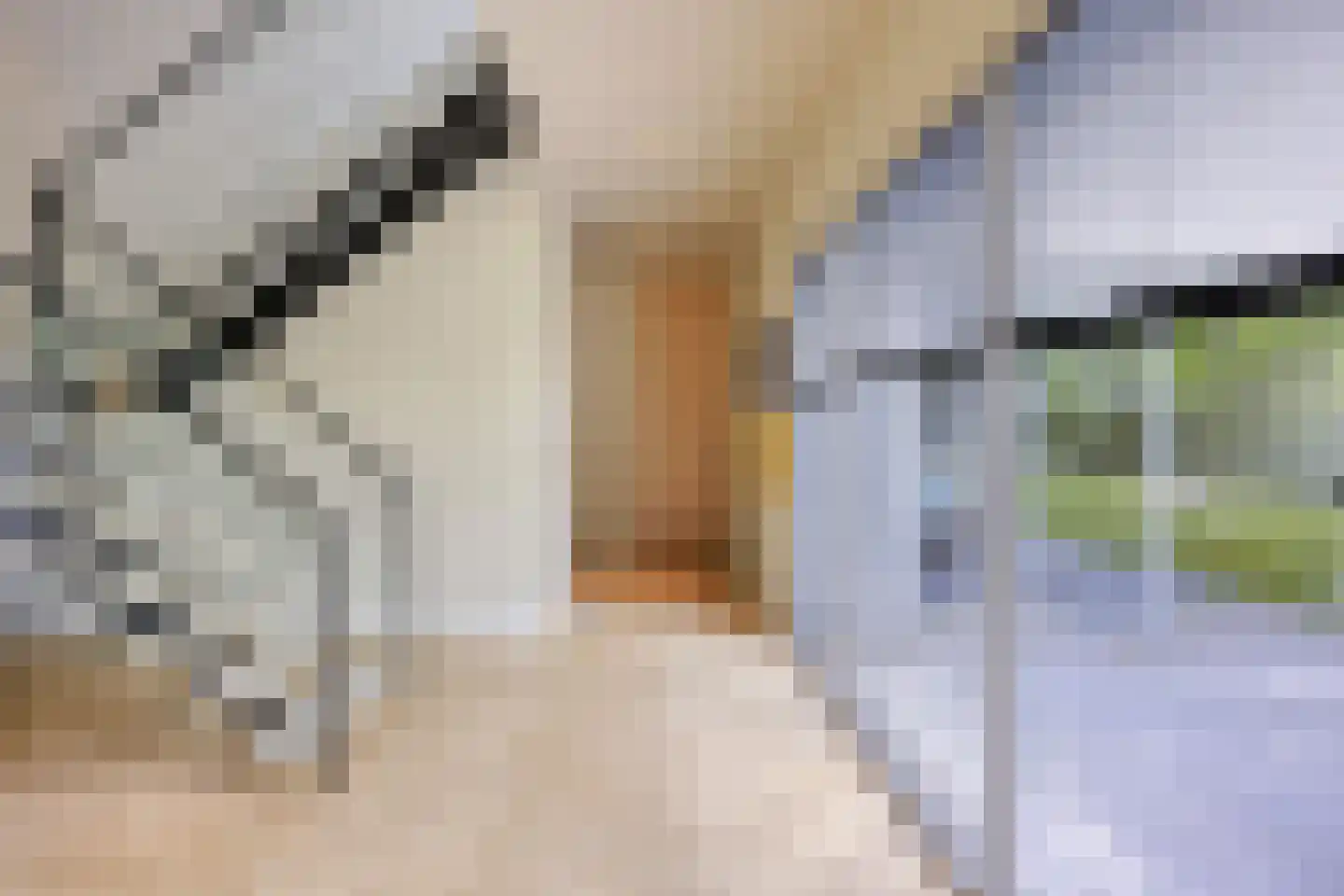 Frida Heilstraat 1 Arnhem thumbnail 31