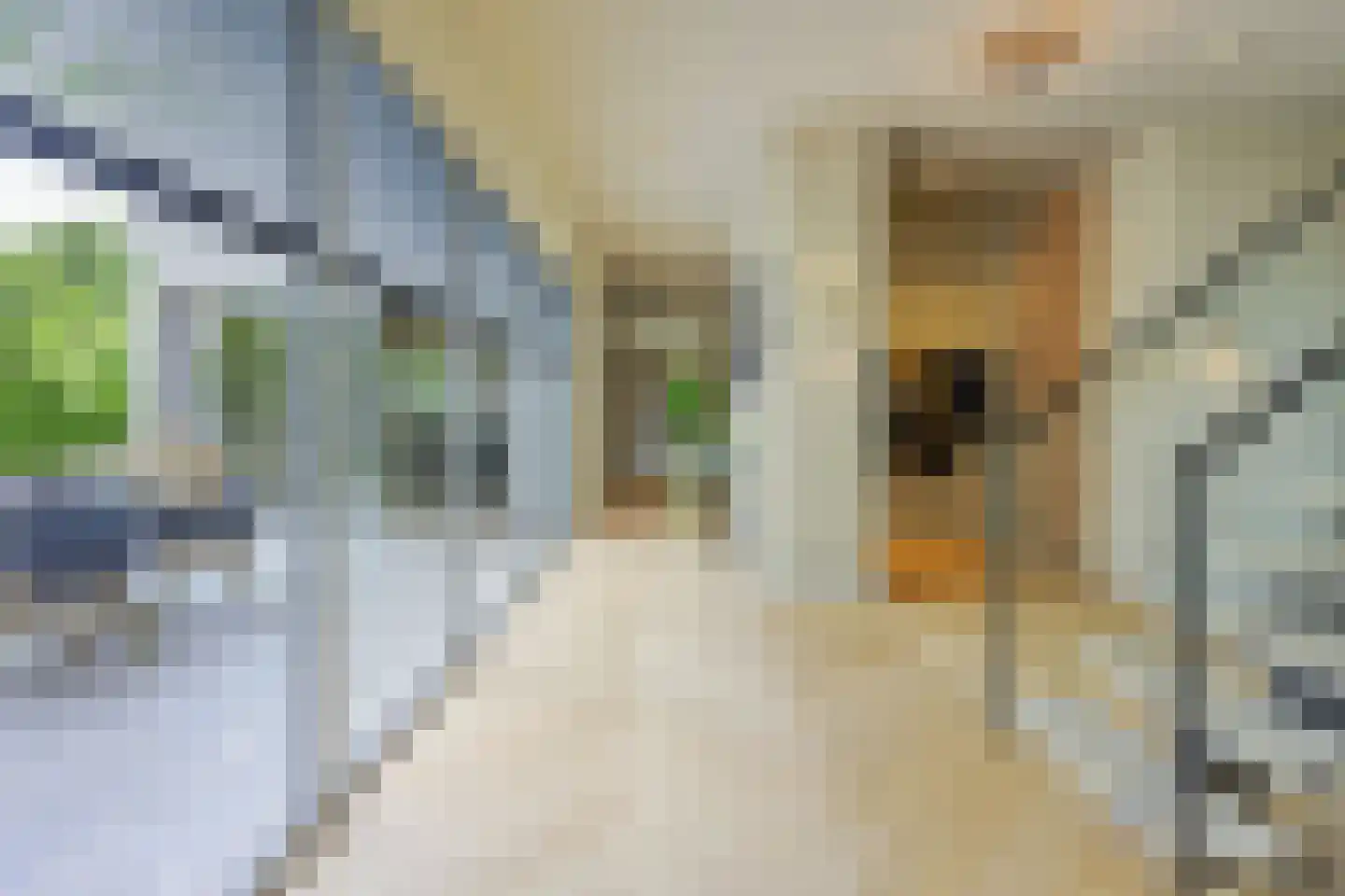 Frida Heilstraat 1 Arnhem thumbnail 32