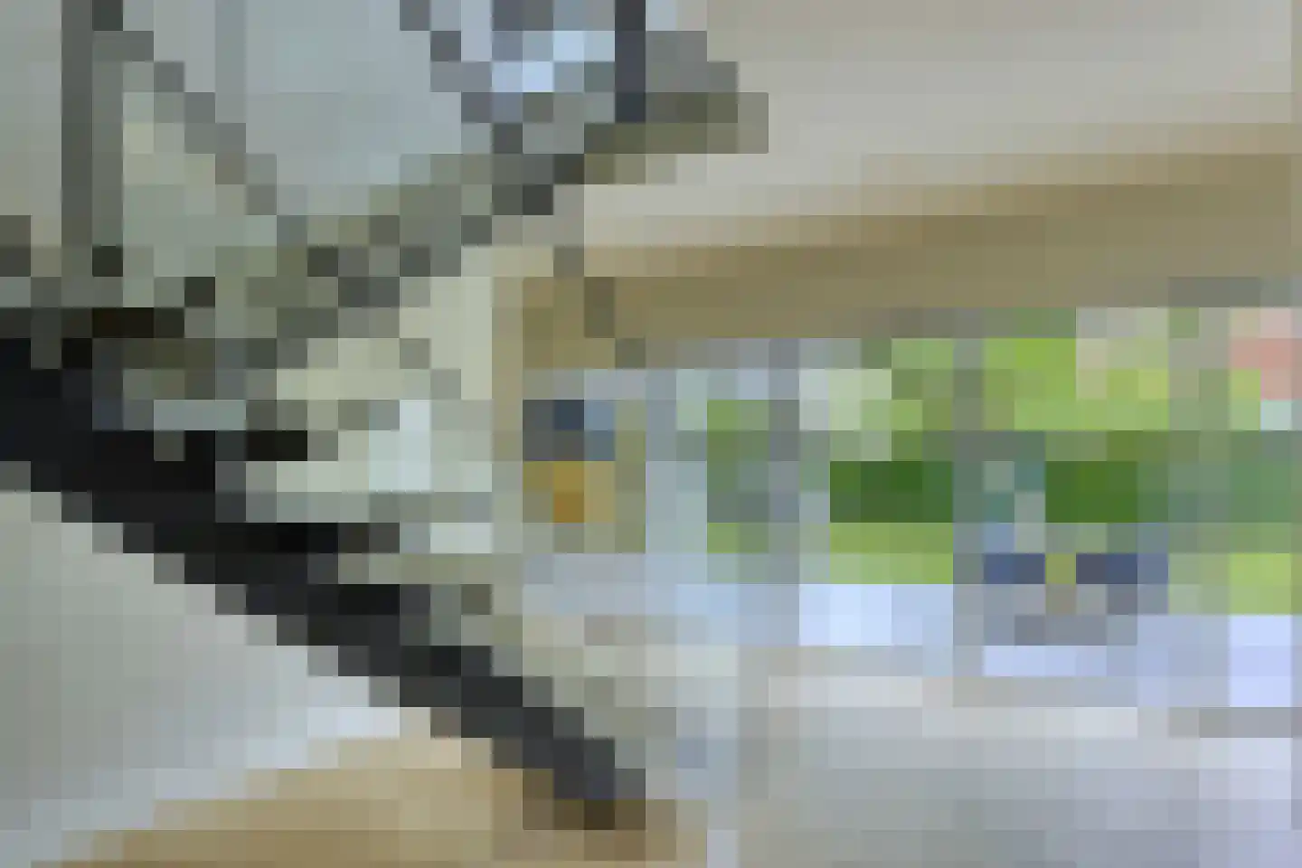 Frida Heilstraat 1 Arnhem thumbnail 33