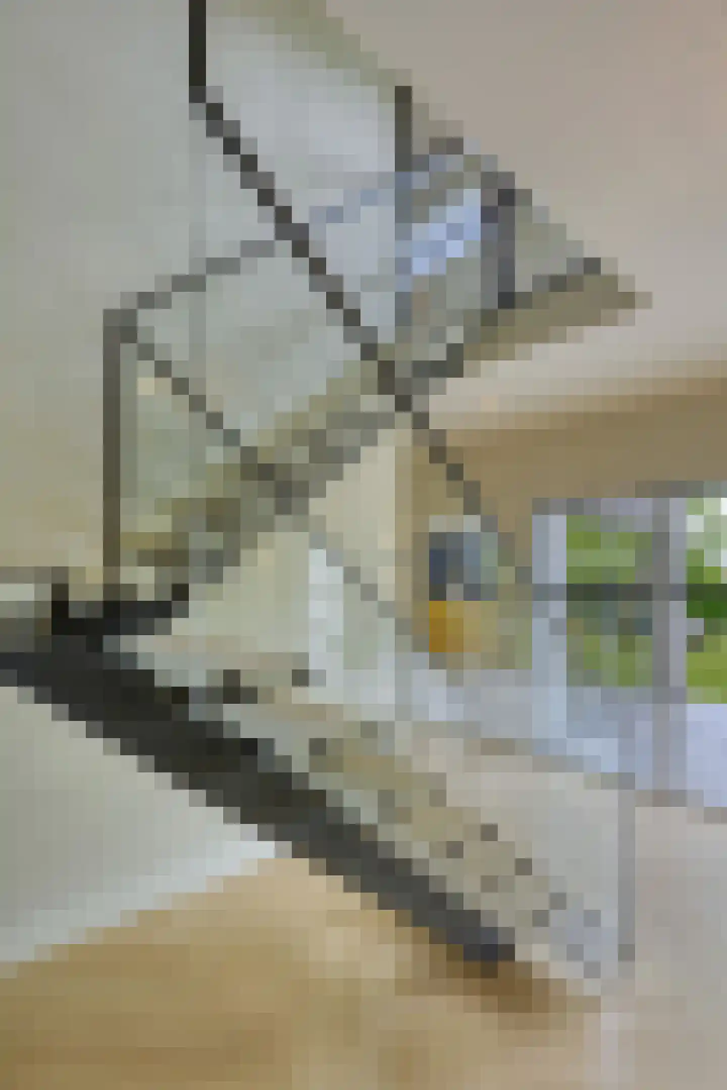 Frida Heilstraat 1 Arnhem thumbnail 34
