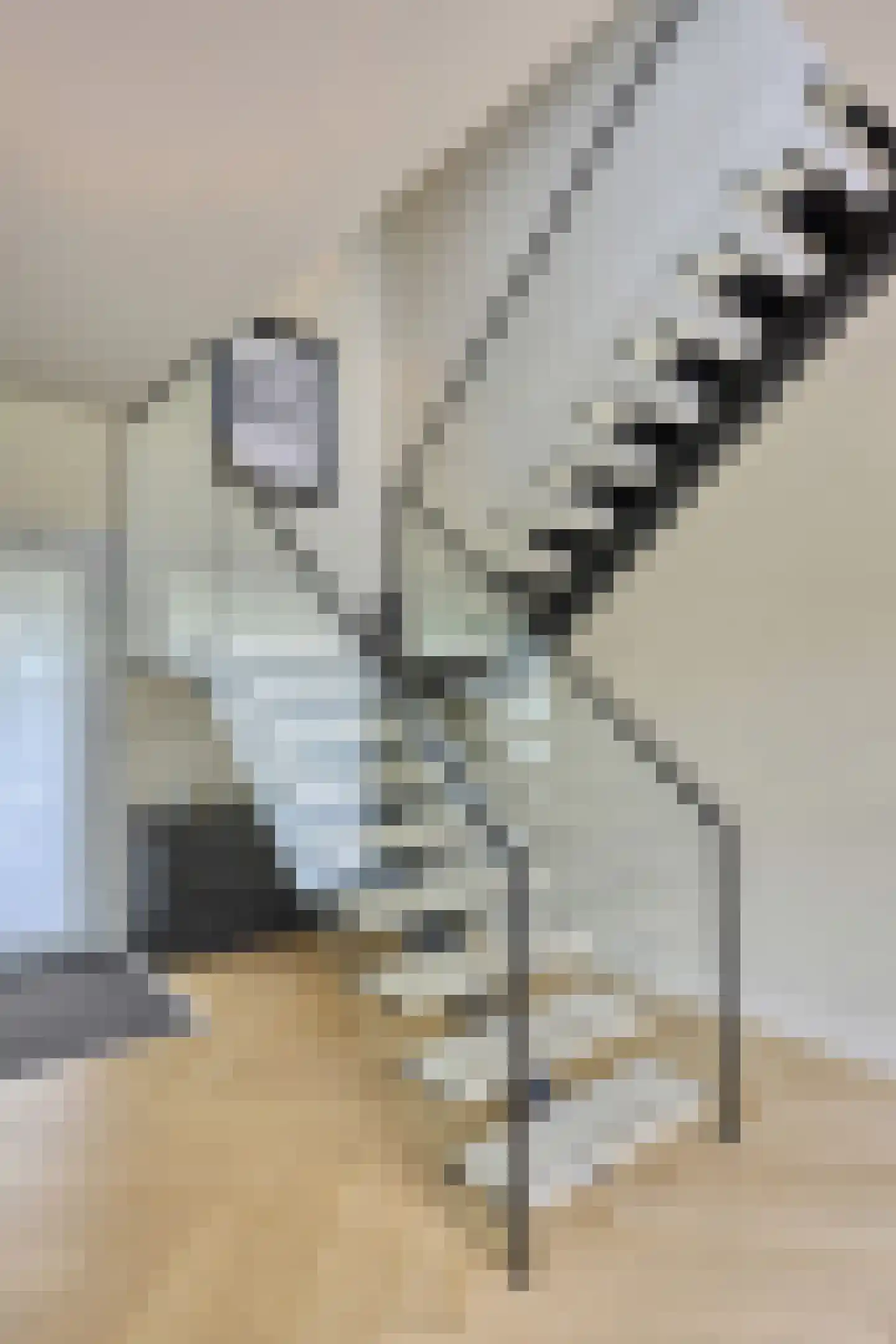 Frida Heilstraat 1 Arnhem thumbnail 35