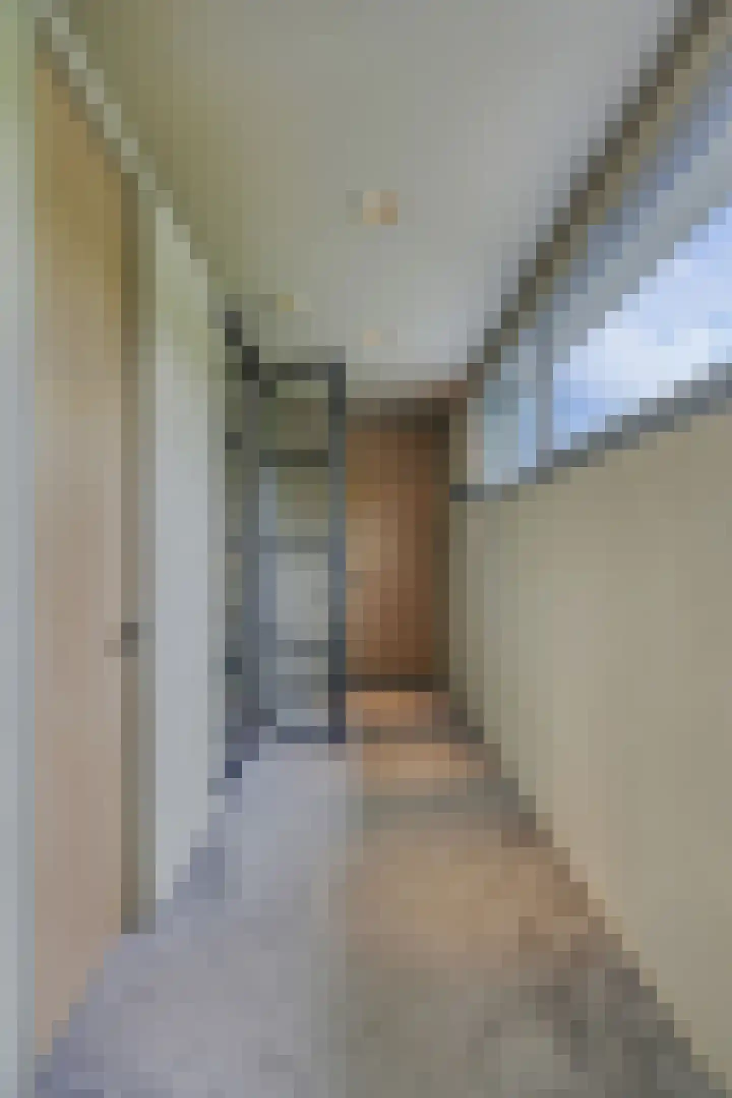 Frida Heilstraat 1 Arnhem thumbnail 38