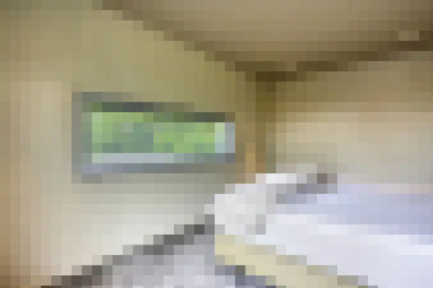 Frida Heilstraat 1 Arnhem thumbnail 40