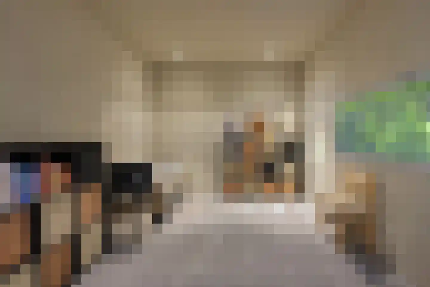 Frida Heilstraat 1 Arnhem thumbnail 41