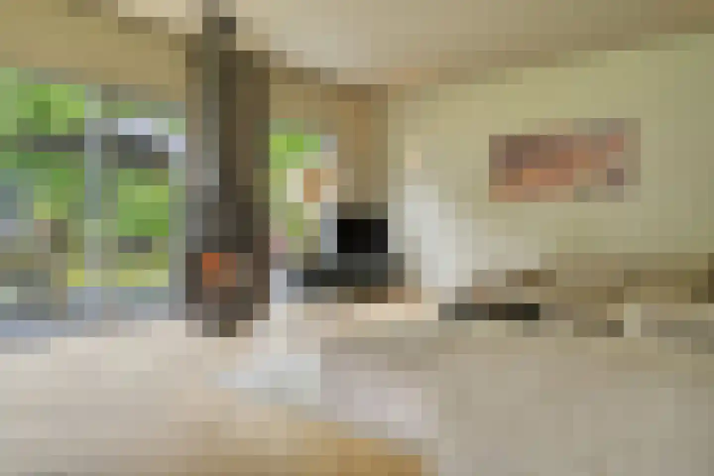 Frida Heilstraat 1 Arnhem thumbnail 5
