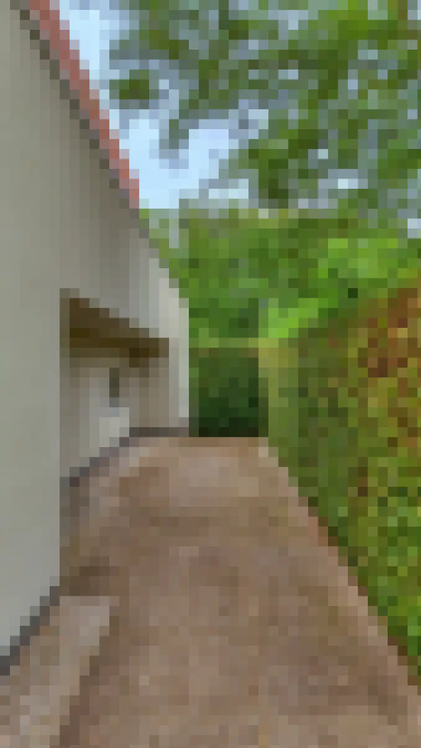Frida Heilstraat 1 Arnhem thumbnail 60