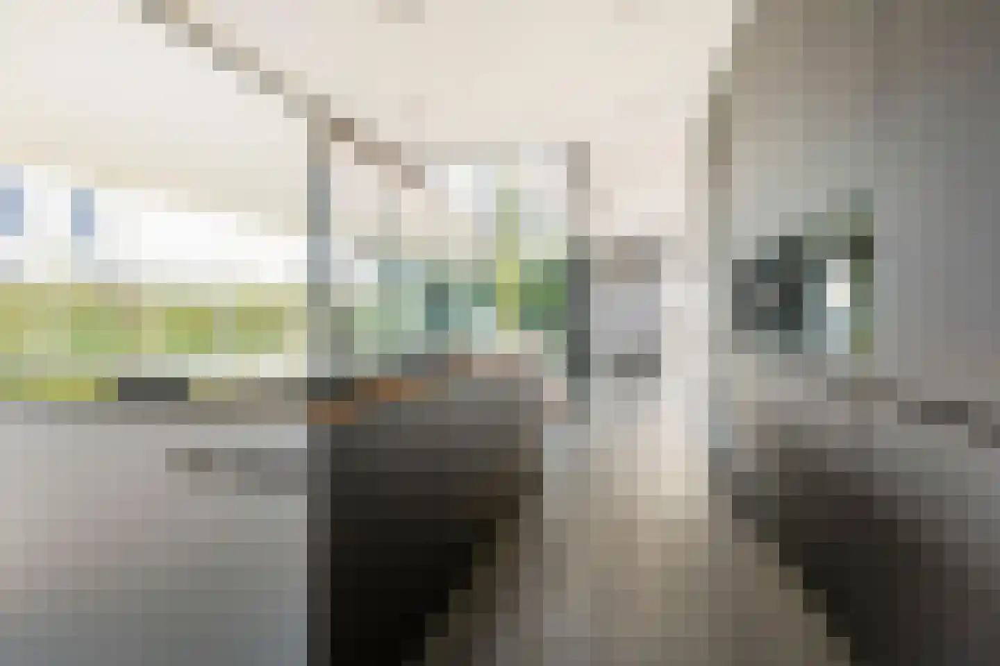 Frida Heilstraat 16 Arnhem thumbnail 13