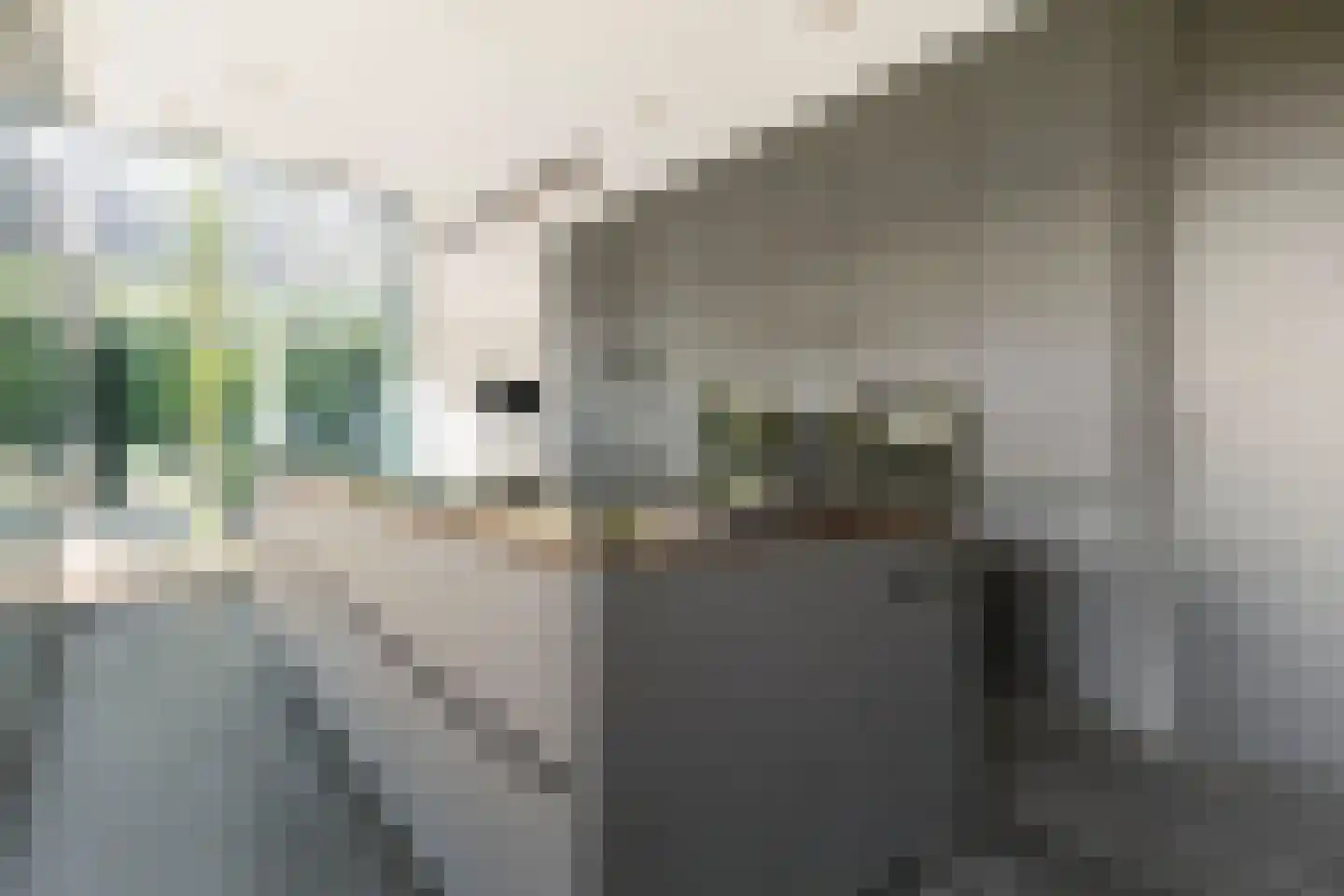 Frida Heilstraat 16 Arnhem thumbnail 14