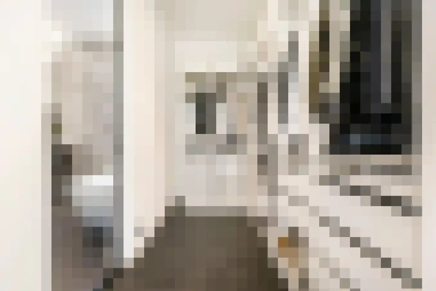 Frida Heilstraat 16 Arnhem thumbnail 20