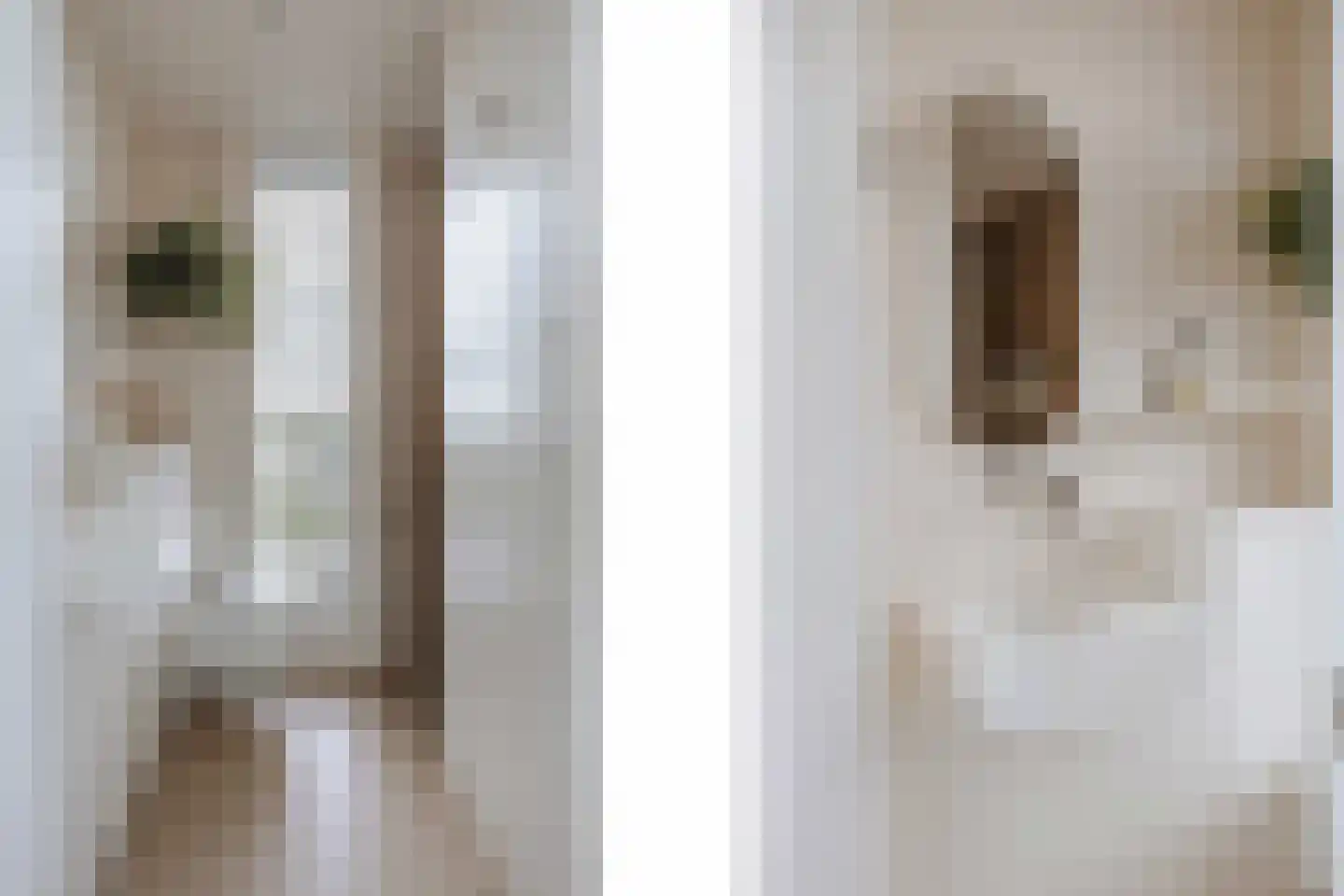 Frida Heilstraat 2 Arnhem thumbnail 30