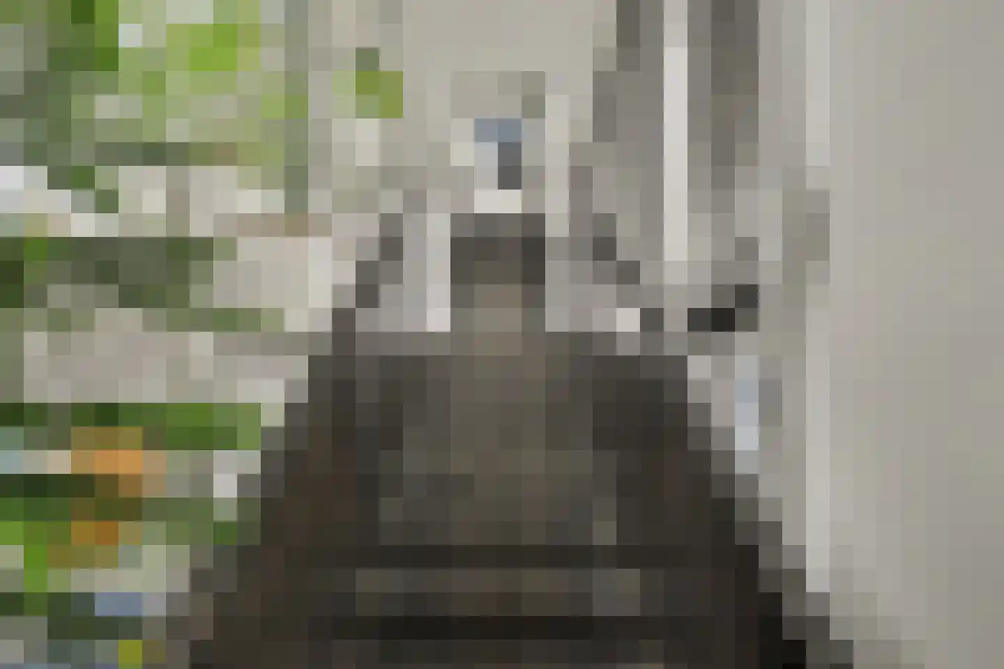 Frida Heilstraat 2 Arnhem thumbnail 31