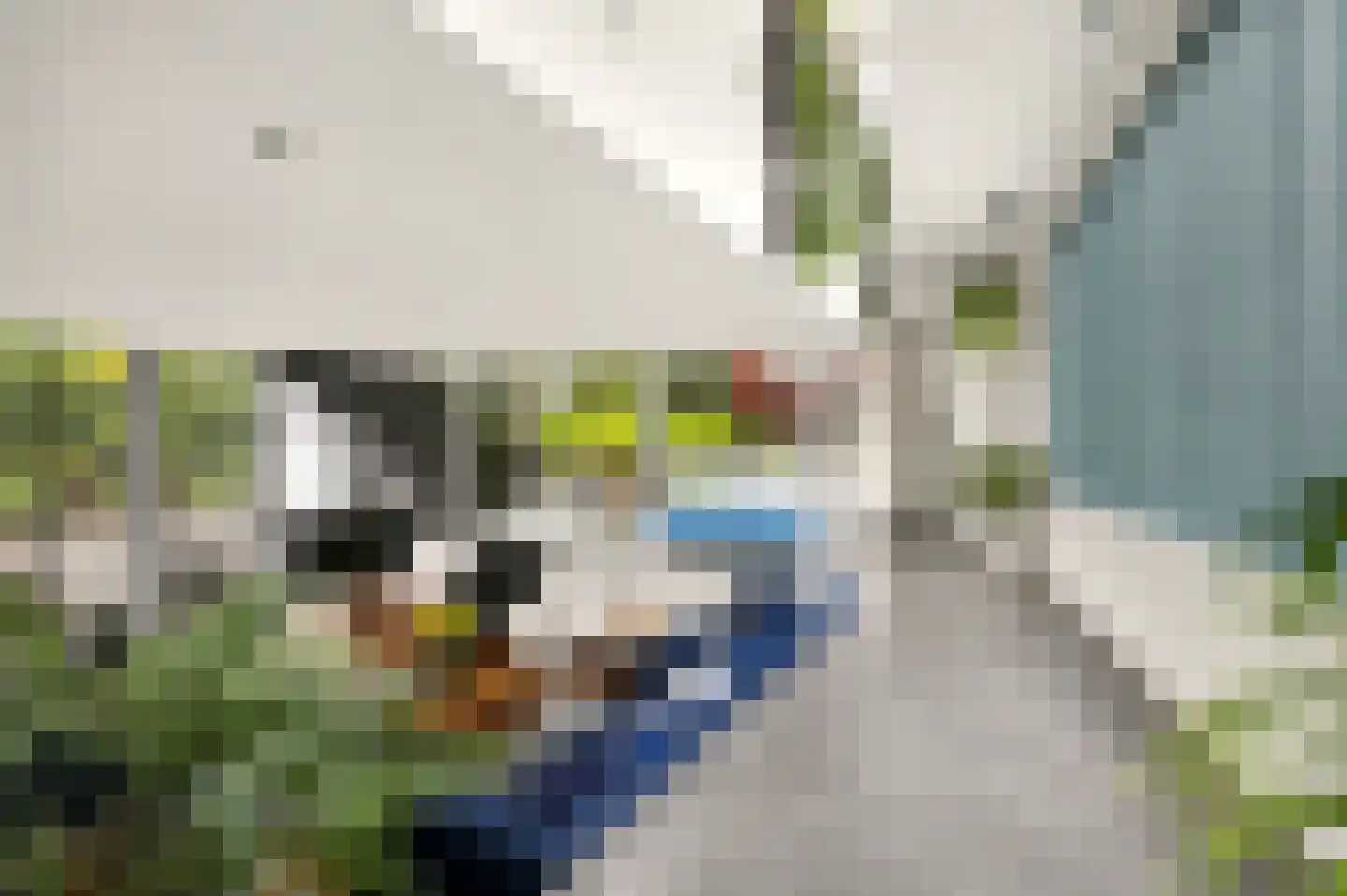 Frida Heilstraat 2 Arnhem thumbnail 5