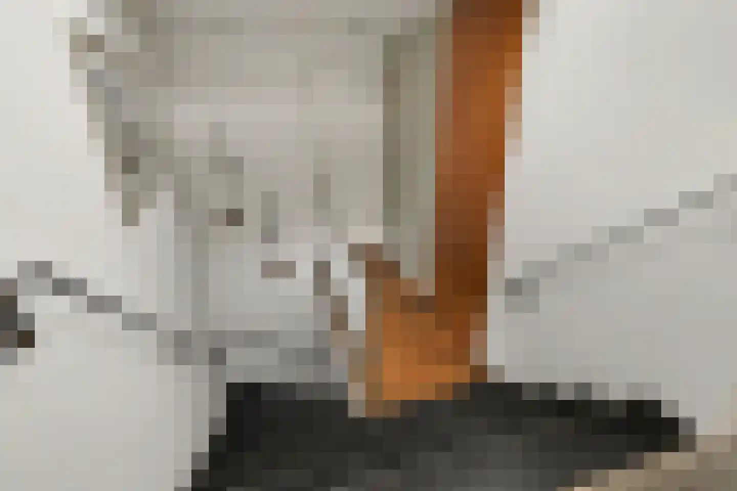 Frida Heilstraat 2 Arnhem thumbnail 53