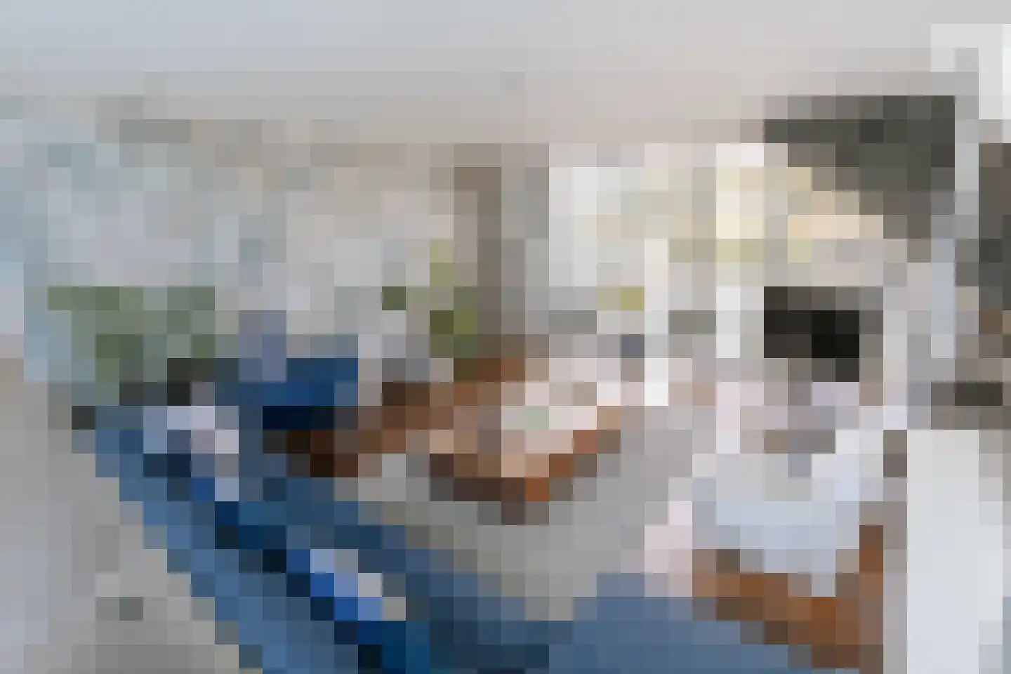 Frida Heilstraat 2 Arnhem thumbnail 8