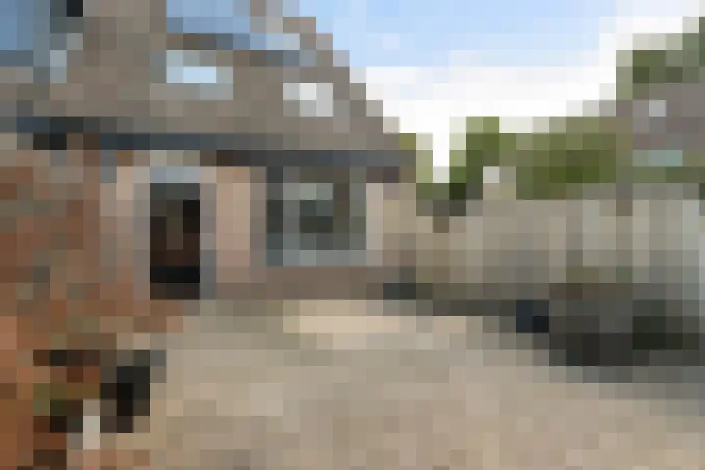 Frida Katz-erf 120 Dordrecht thumbnail 19