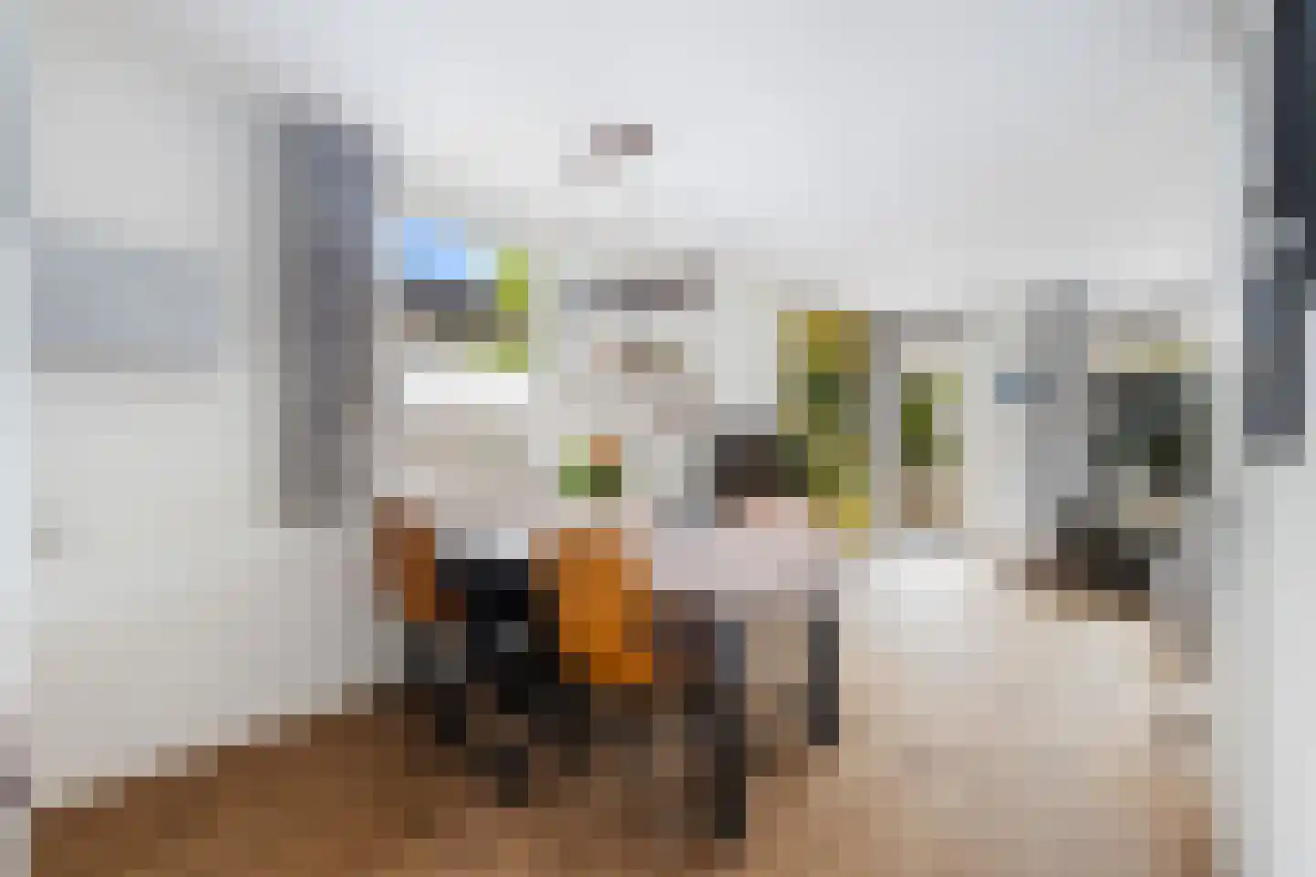 Frida Katz-erf 180 Dordrecht thumbnail 14