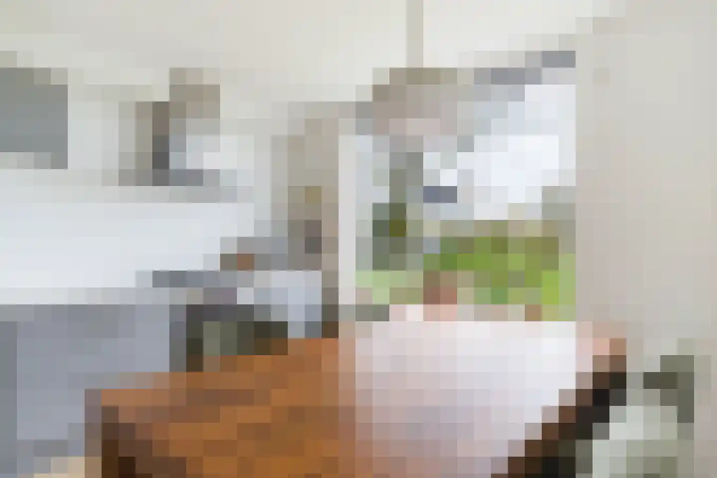 Frida Katz-erf 232 Dordrecht thumbnail 28