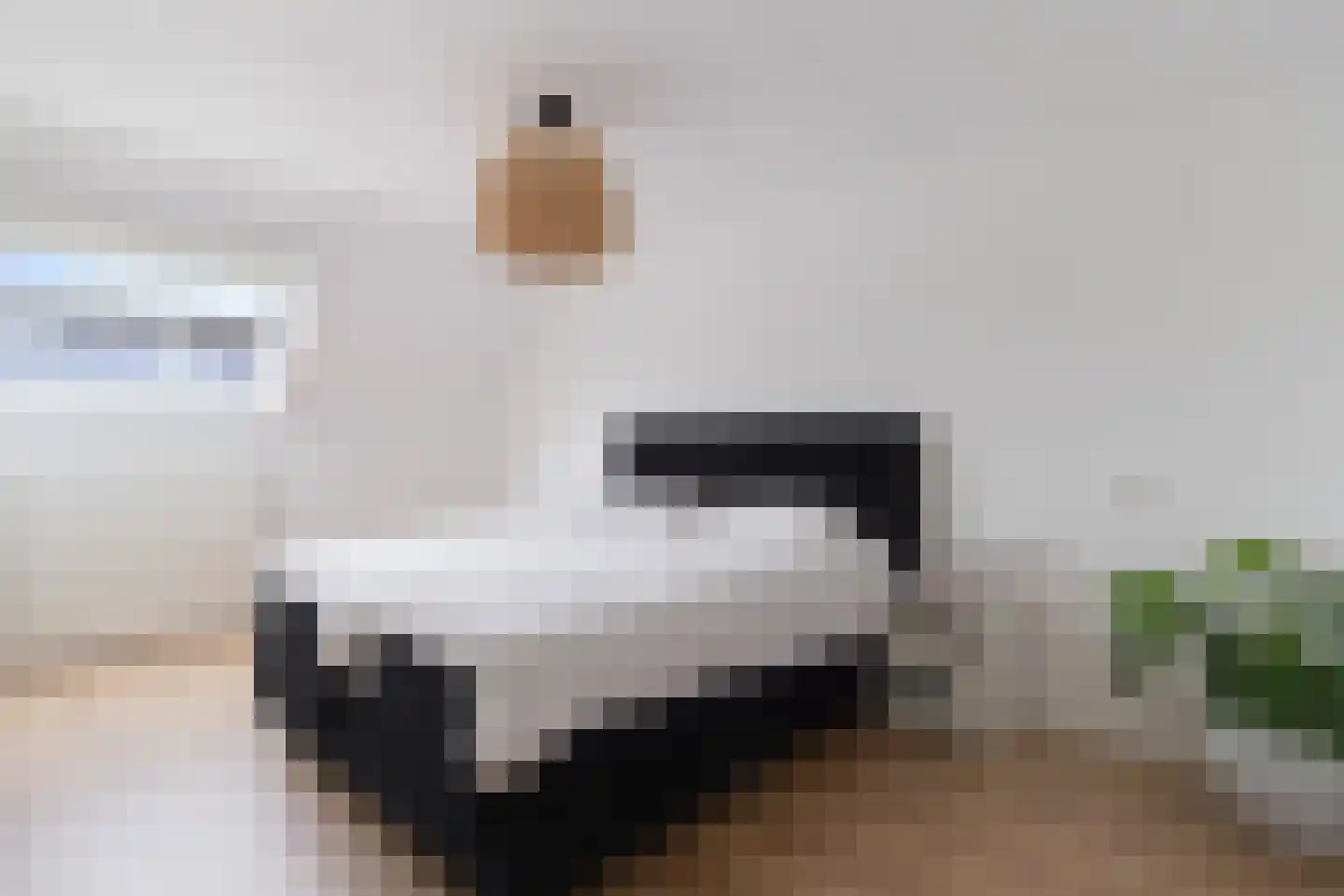 Frida Katz-erf 232 Dordrecht thumbnail 31