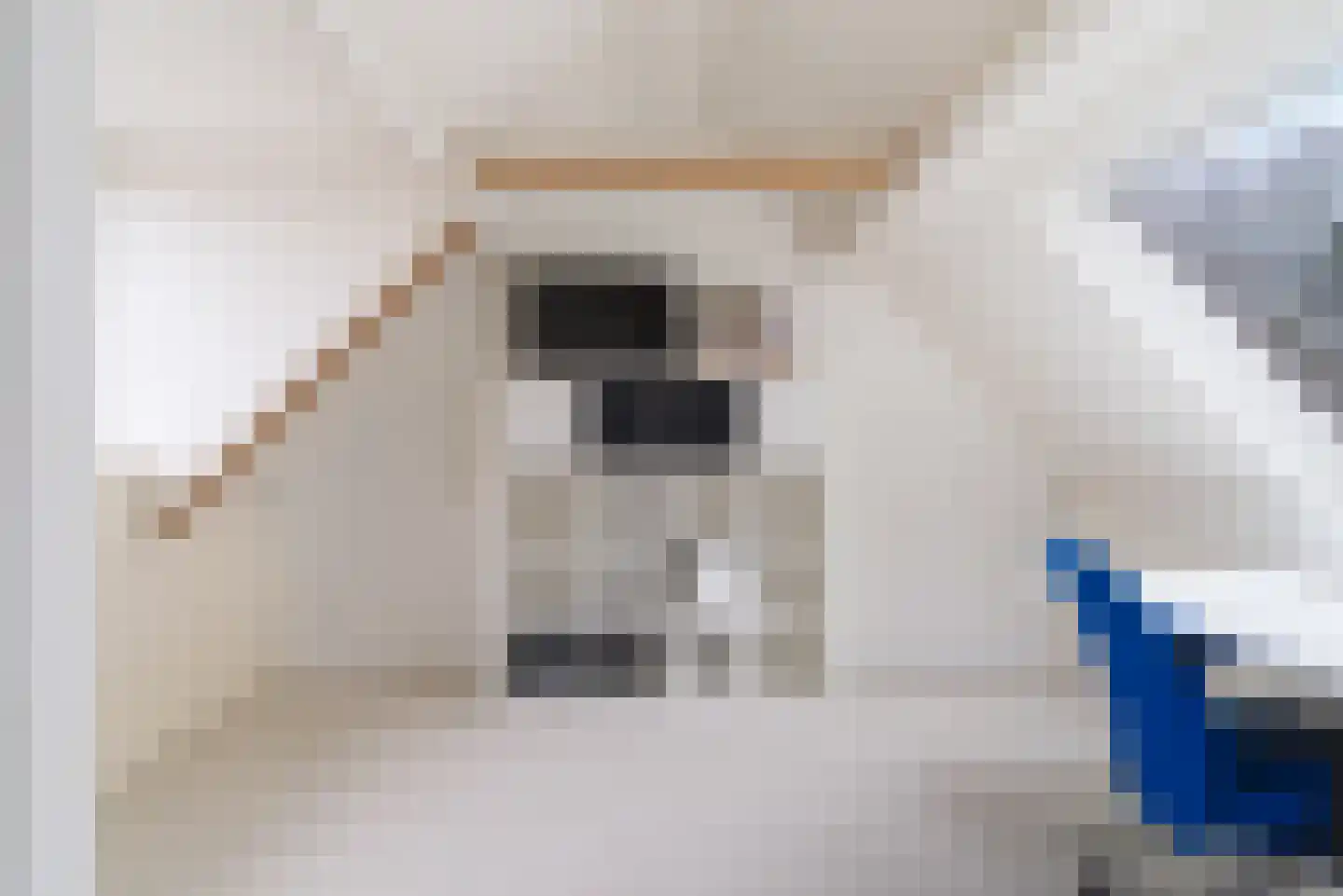 Frida Katz-erf 232 Dordrecht thumbnail 43