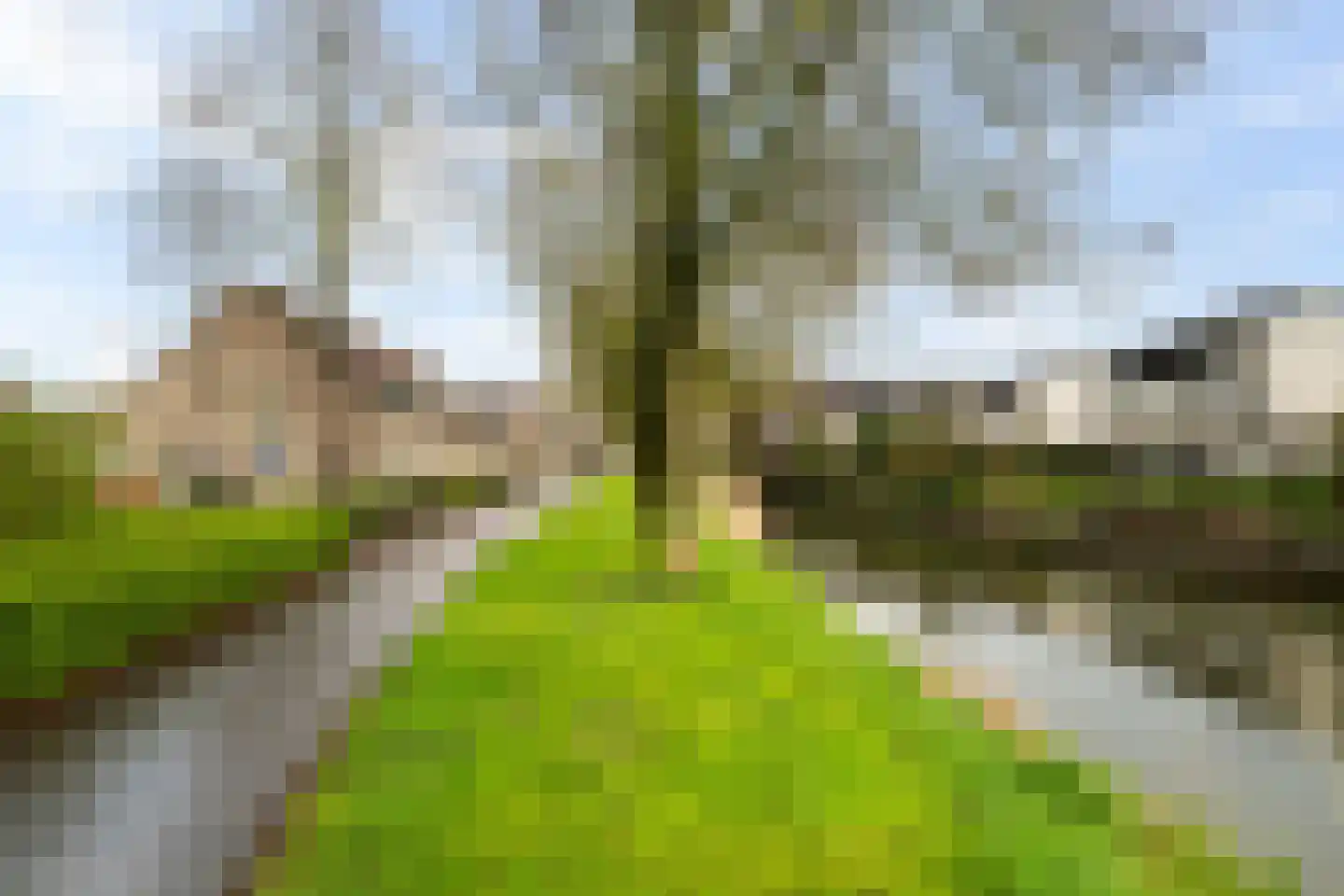 Frida Katz-erf 232 Dordrecht thumbnail 54