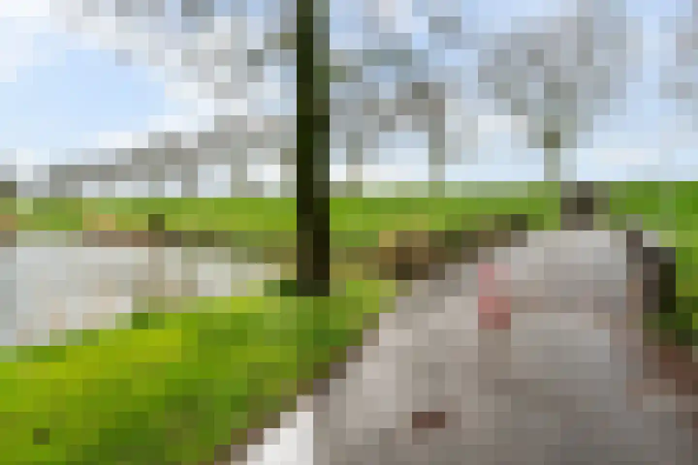 Frida Katz-erf 232 Dordrecht thumbnail 57