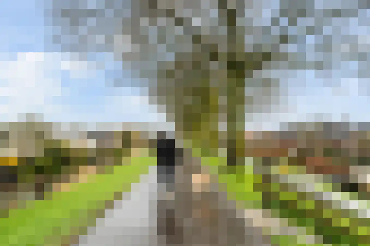 Frida Katz-erf 232 Dordrecht thumbnail 59