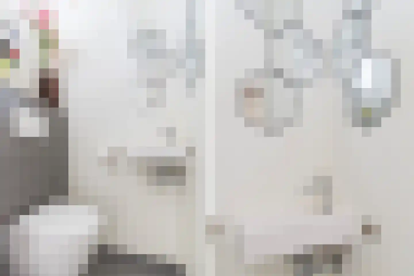 Frida Katz-erf 232 Dordrecht thumbnail 7