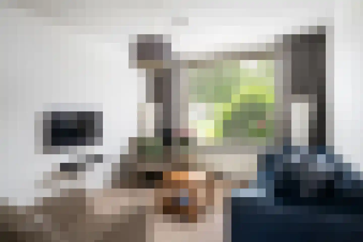 Frida Katz-erf 76 Dordrecht thumbnail 8