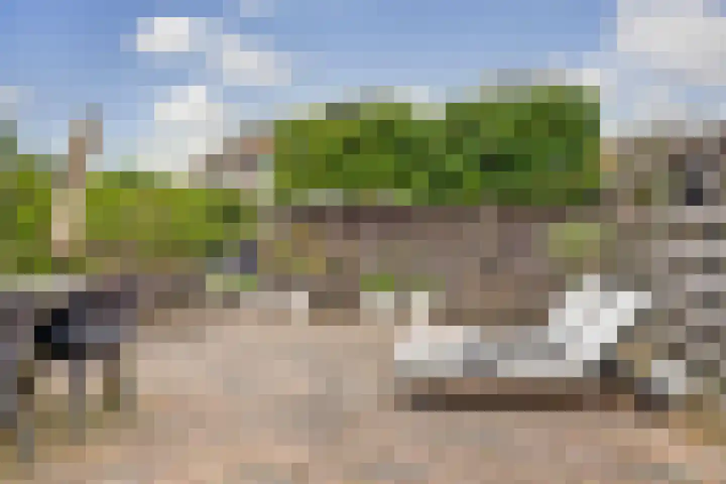 Frida Katzland 11 Heerhugowaard thumbnail 44