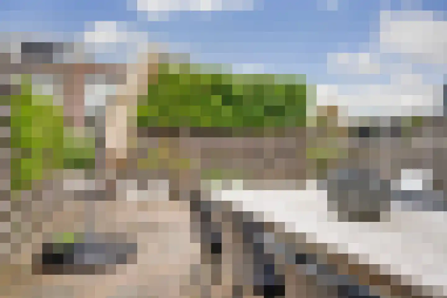 Frida Katzland 11 Heerhugowaard thumbnail 49