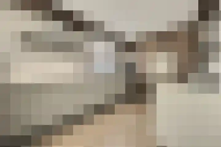 Frida Katzlanden 8 Enschede thumbnail 13
