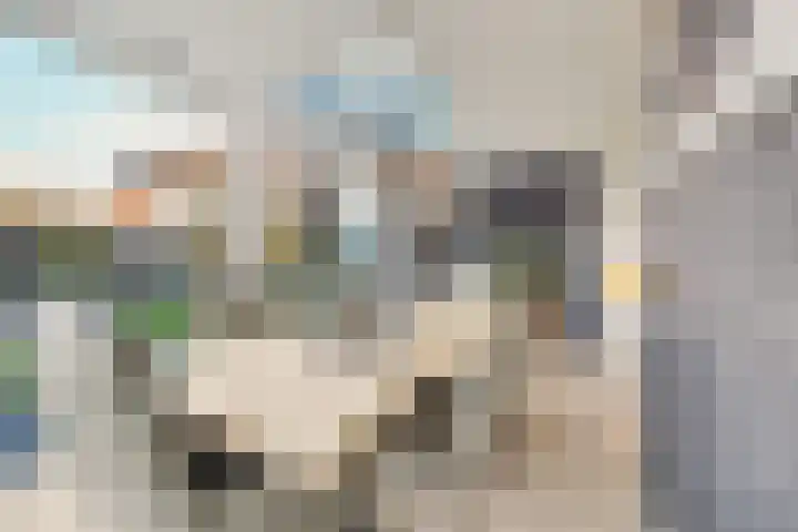 Frida Katzlanden 8 Enschede thumbnail 18