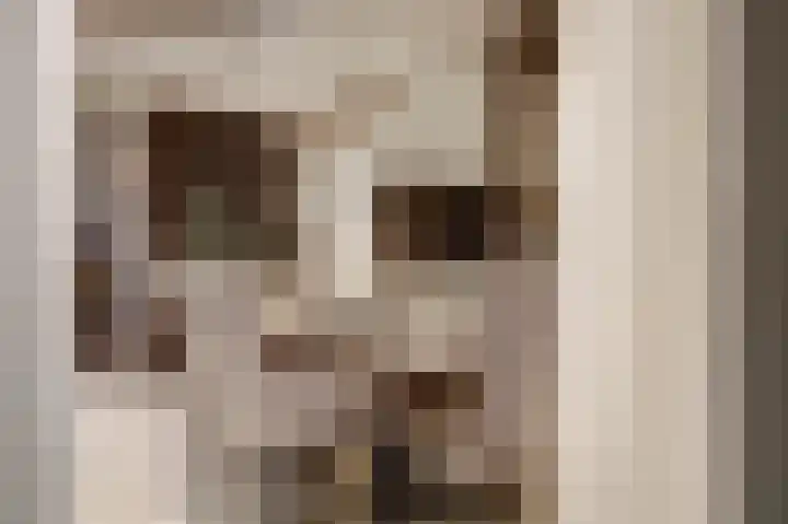Frida Katzlanden 8 Enschede thumbnail 19