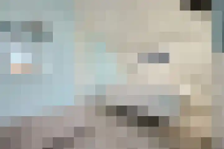 Frida Katzlanden 8 Enschede thumbnail 26