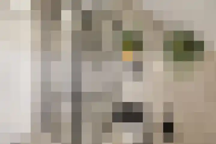 Frida Katzlanden 8 Enschede thumbnail 29