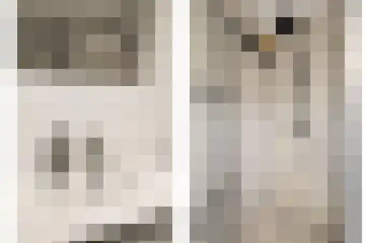 Frida Katzlanden 8 Enschede thumbnail 31