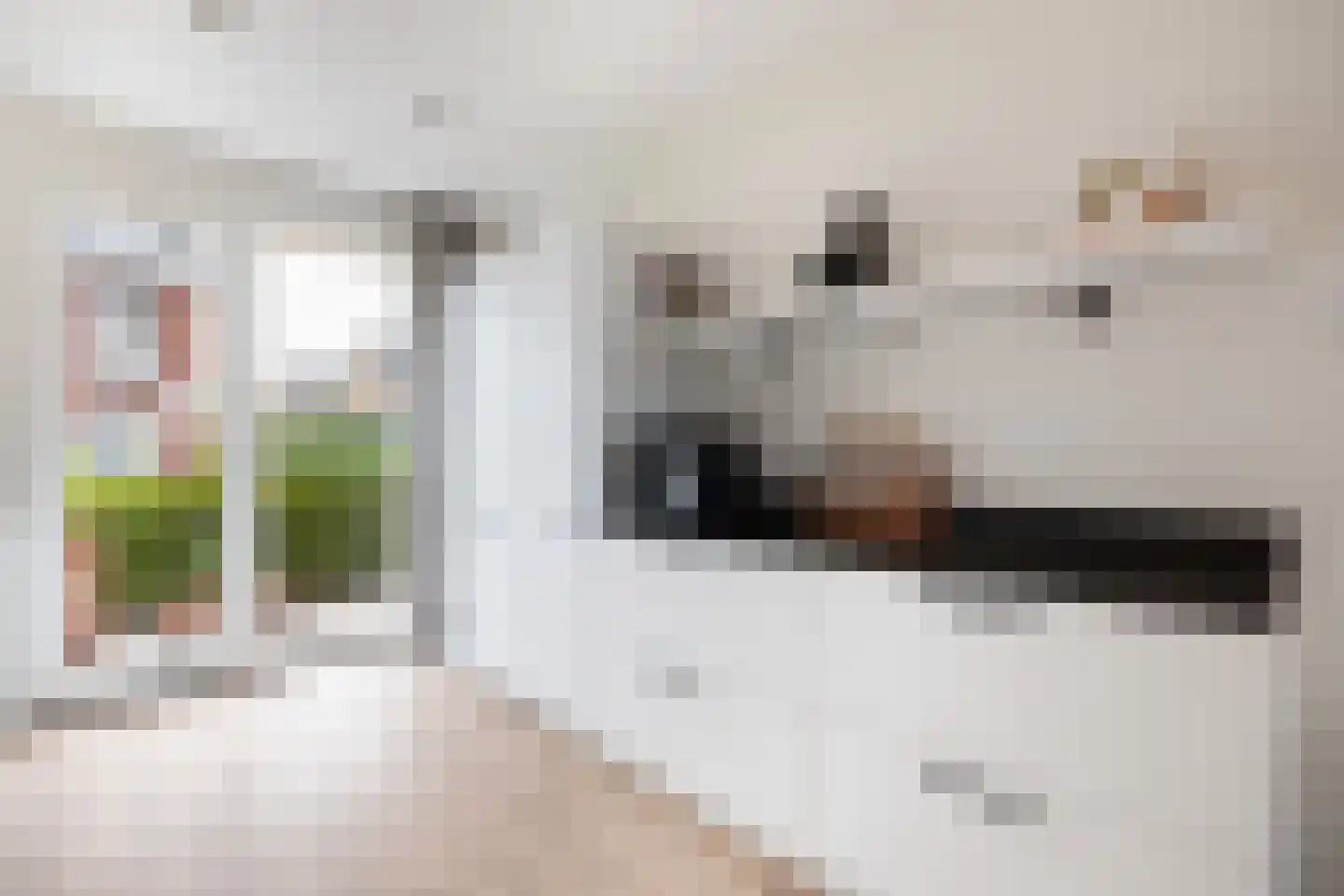 Frida Katzpad 13 Woerden thumbnail 17