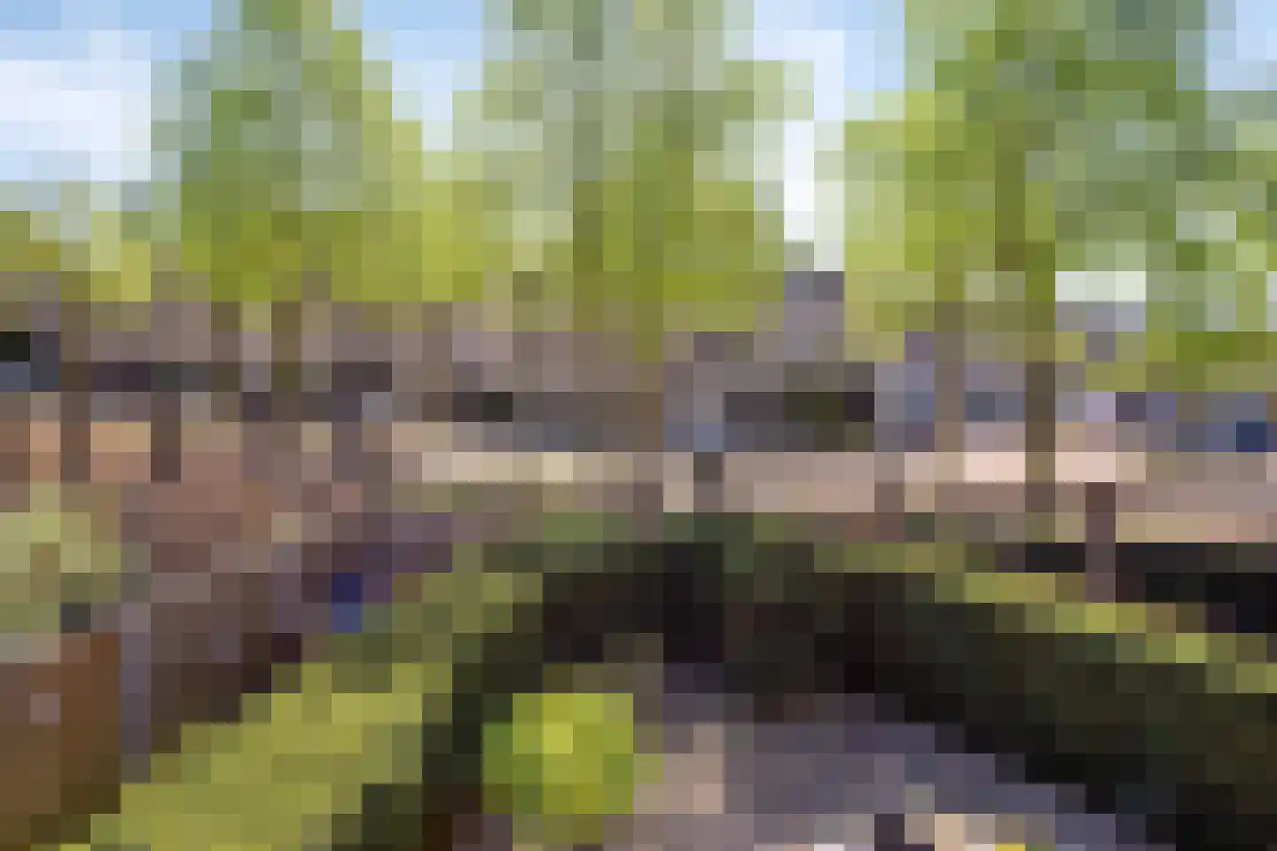 Frida Katzstraat 10 Veenendaal thumbnail 17