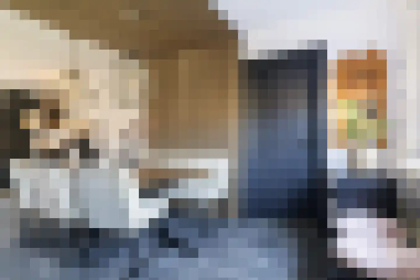 Frida Katzstraat 5 Coevorden thumbnail 16