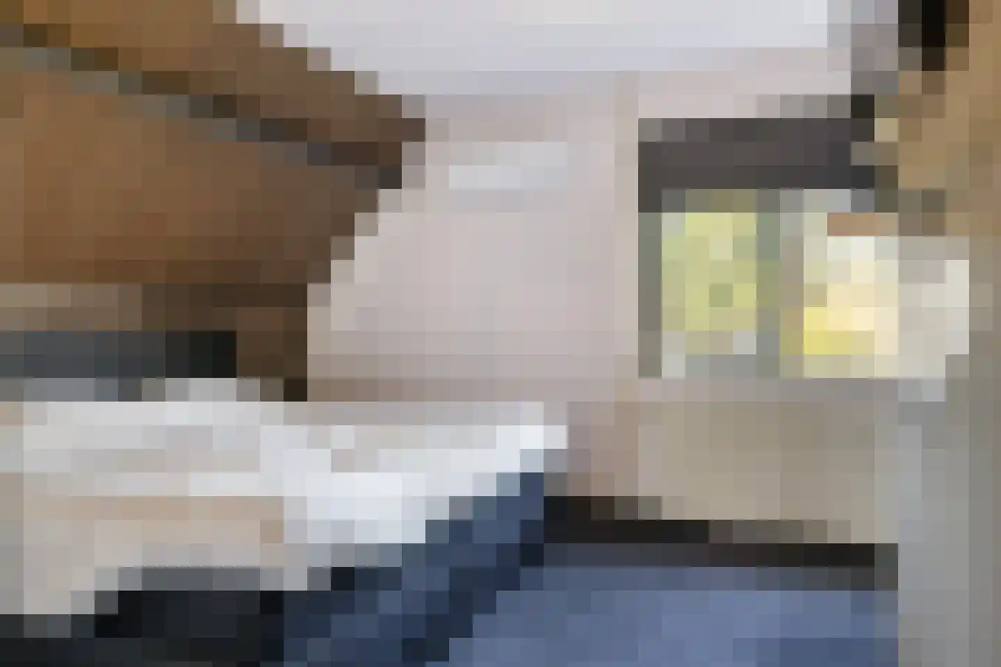 Frida Katzstraat 5 Coevorden thumbnail 20