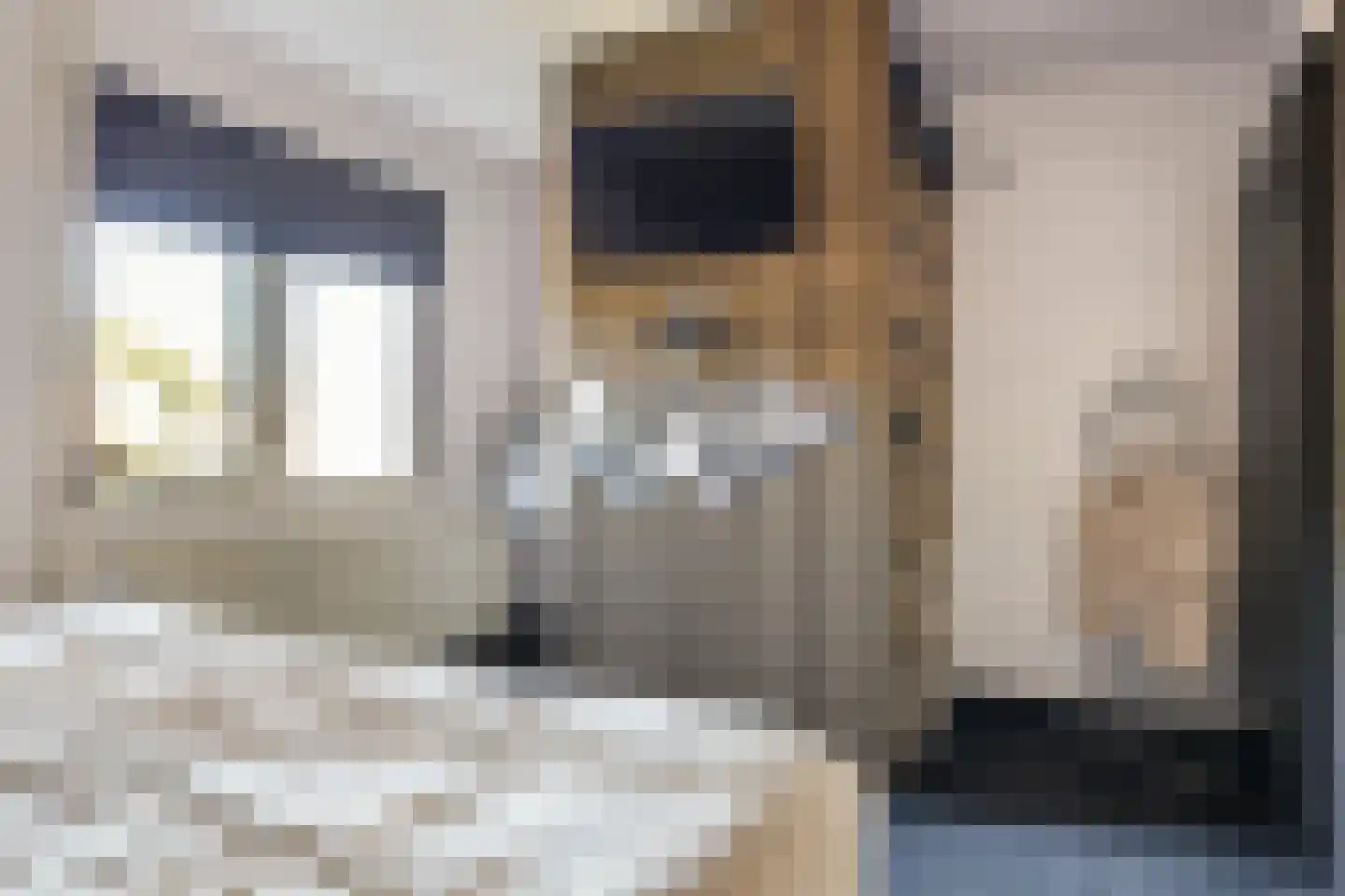 Frida Katzstraat 5 Coevorden thumbnail 21