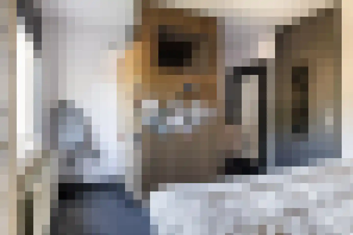 Frida Katzstraat 5 Coevorden thumbnail 22