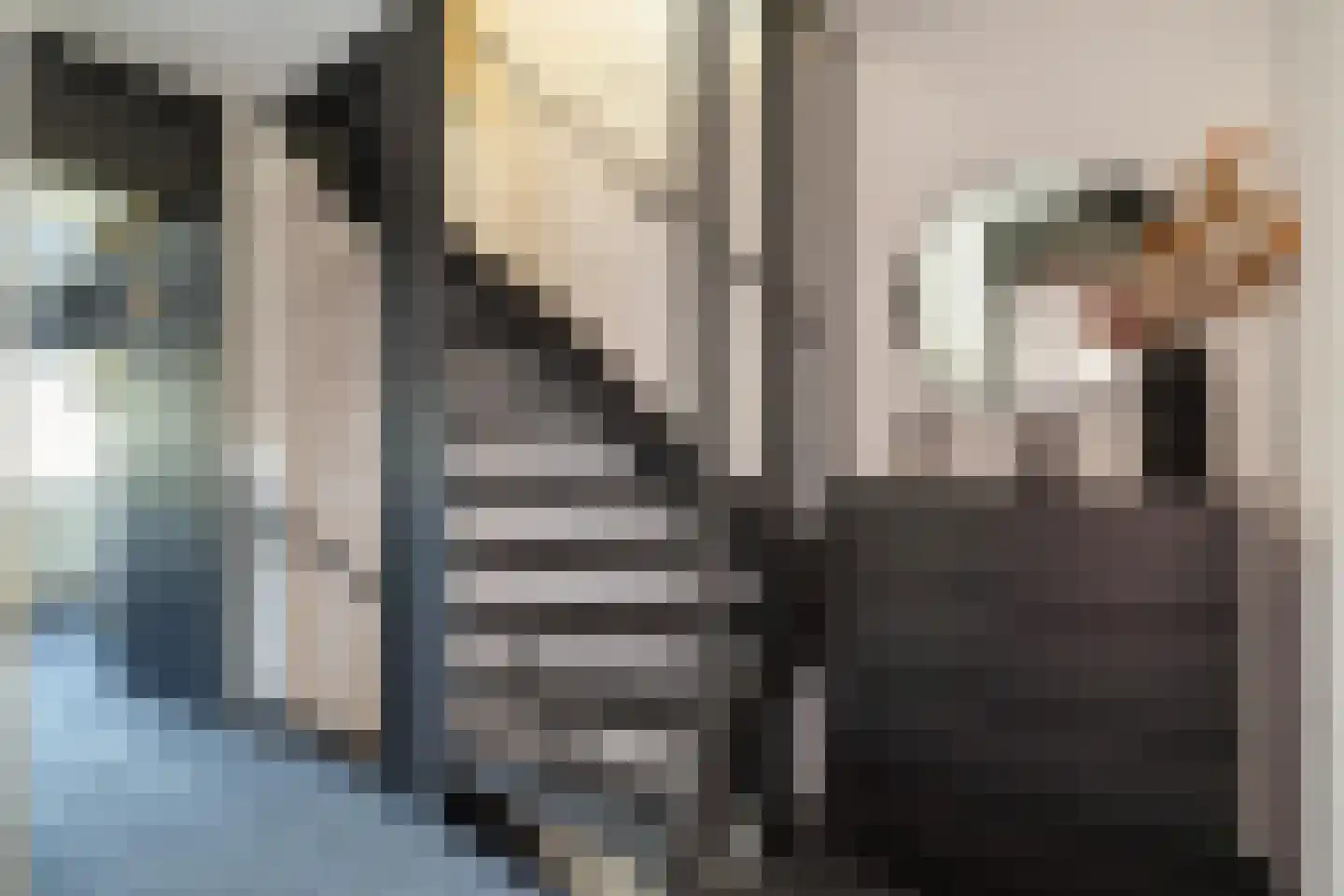 Frida Katzstraat 5 Coevorden thumbnail 29