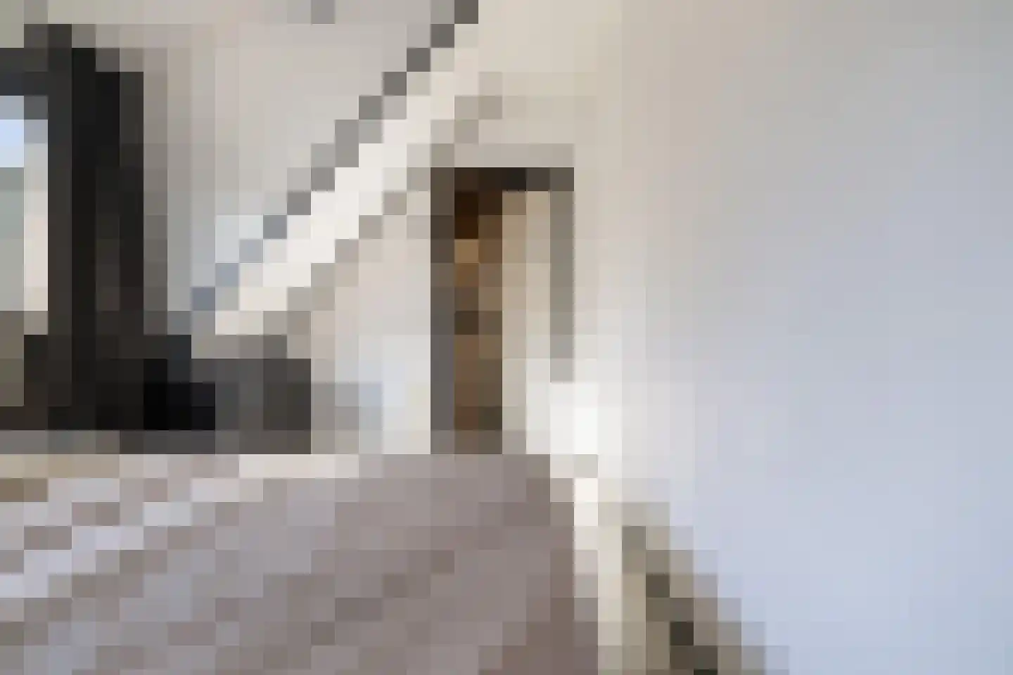 Frida Katzstraat 5 Coevorden thumbnail 33