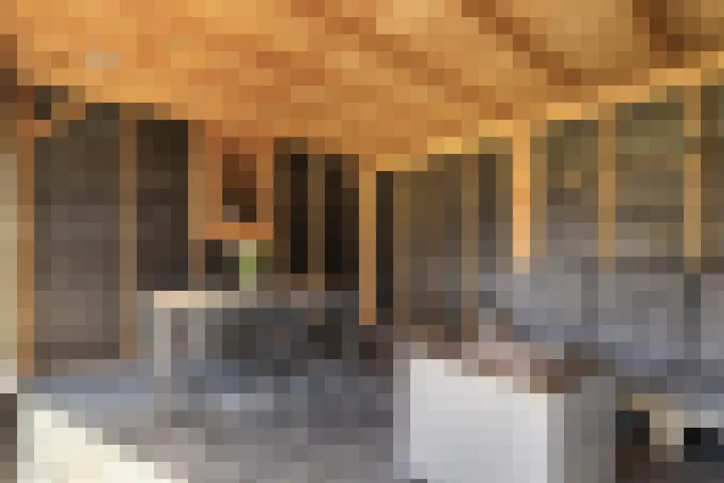 Frida Katzstraat 5 Coevorden thumbnail 37