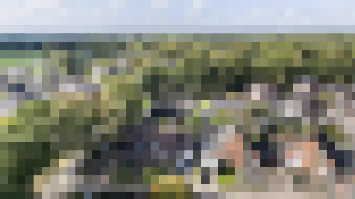 Frida Katzstraat 5 Coevorden thumbnail 43